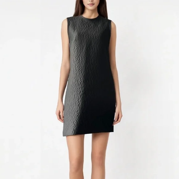 Carven Dresses | Carven Structured Texture A Line Dress | 40 (8 US) | Color: Black | Size: 8 | Pm-77137869's Closet
